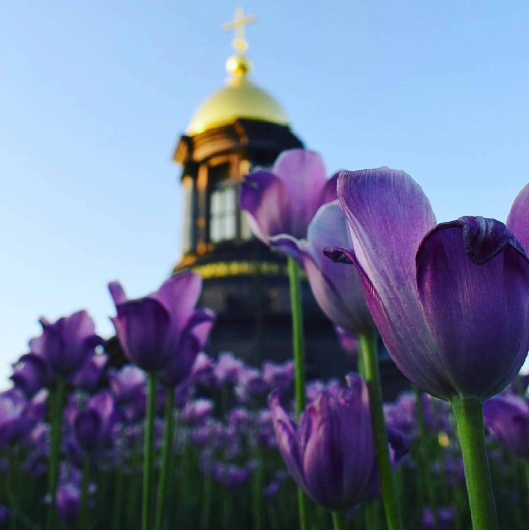 Весна Церковь закат