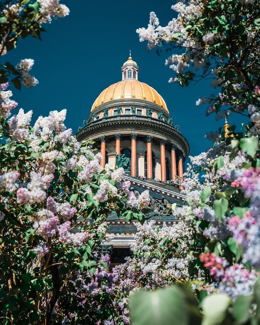 Исаакиевский собор Санкт-Петербург в сирени