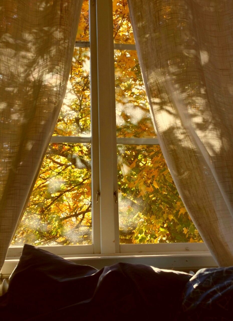 Дождь и кофе