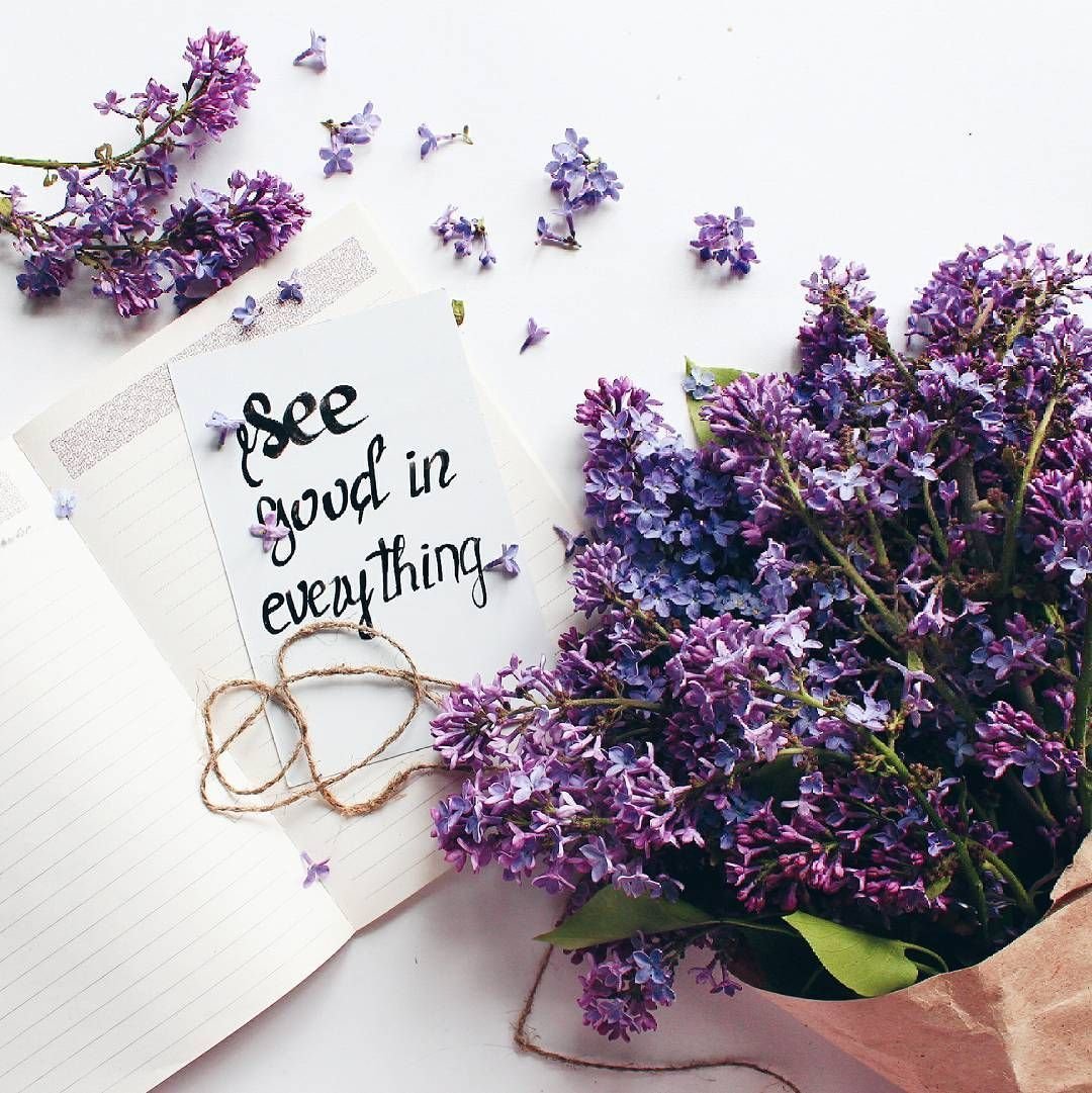 Эстетика перпл