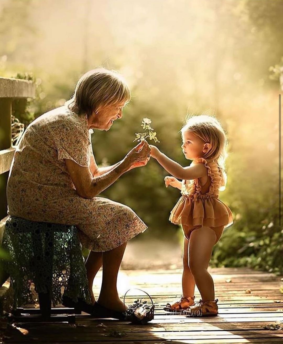 Бабушка и дедушка на белом фоне