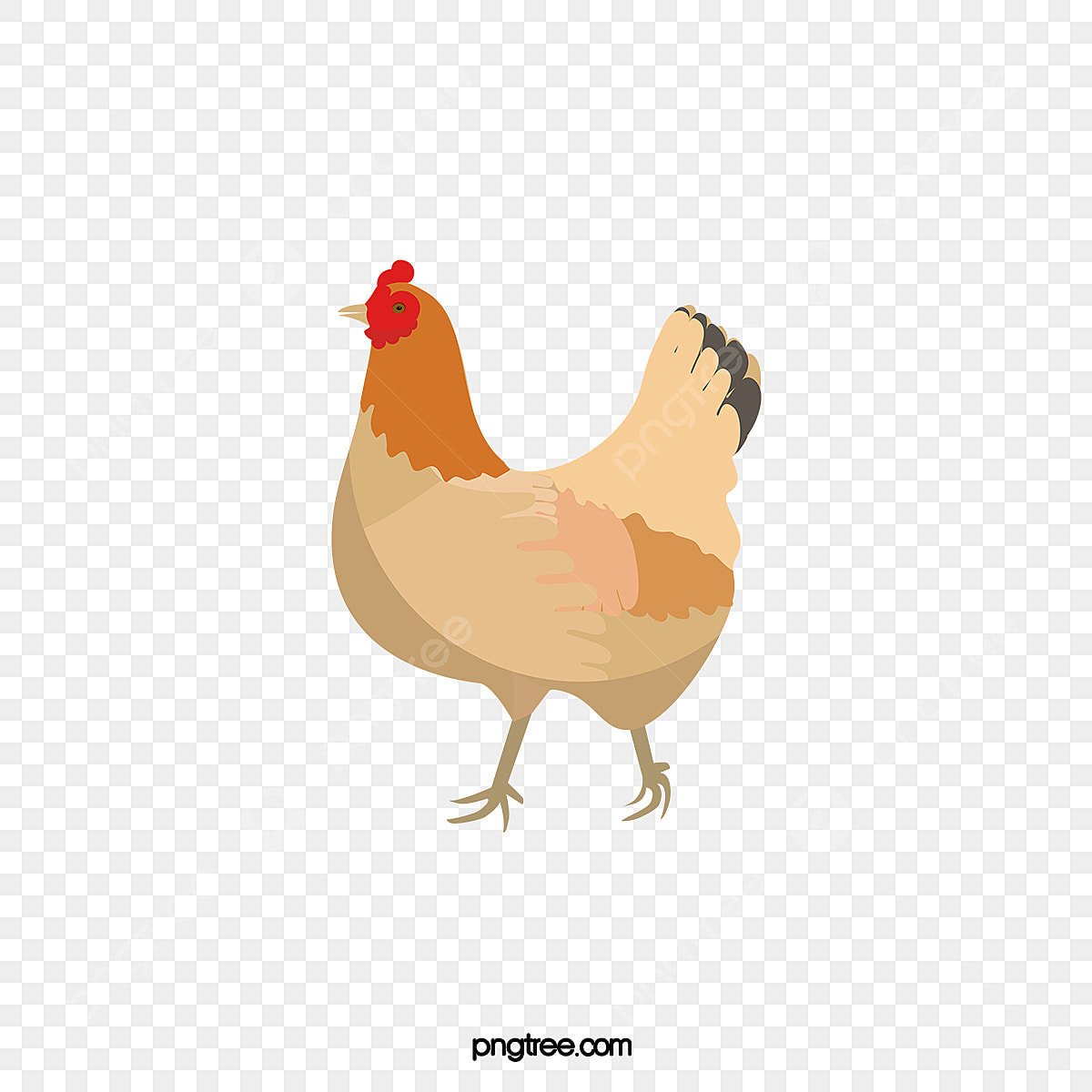 Курица картинка для детей