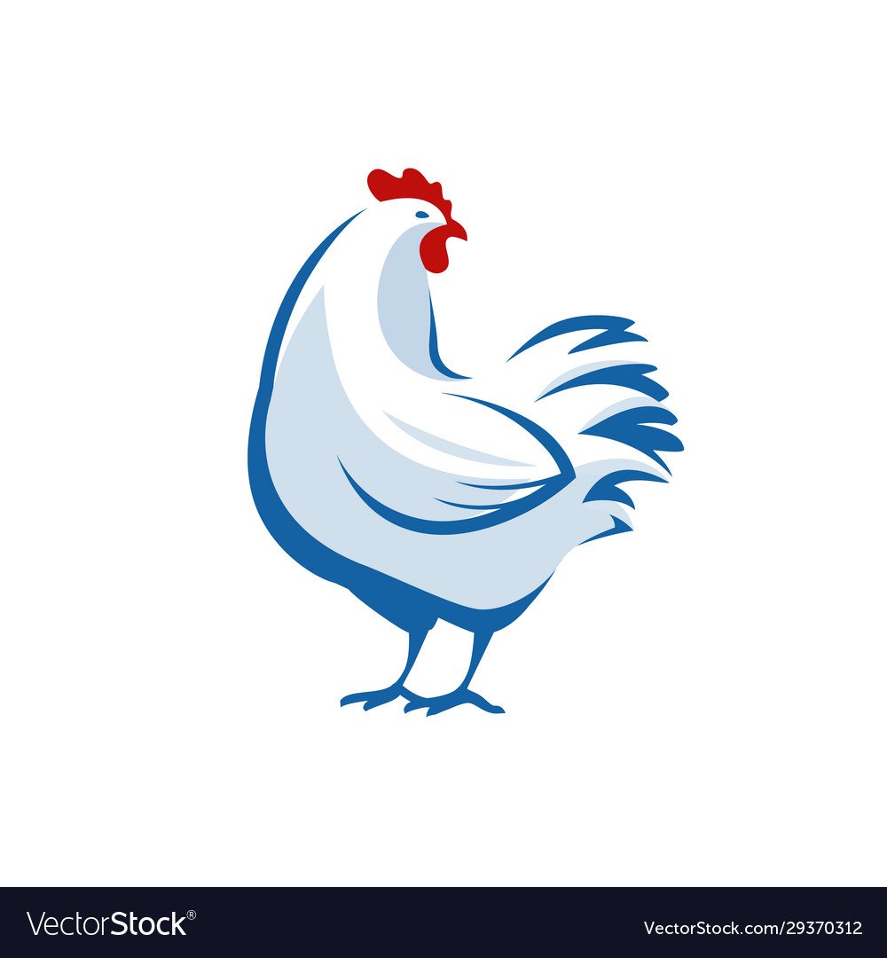 Нарисованная курица на белом фоне