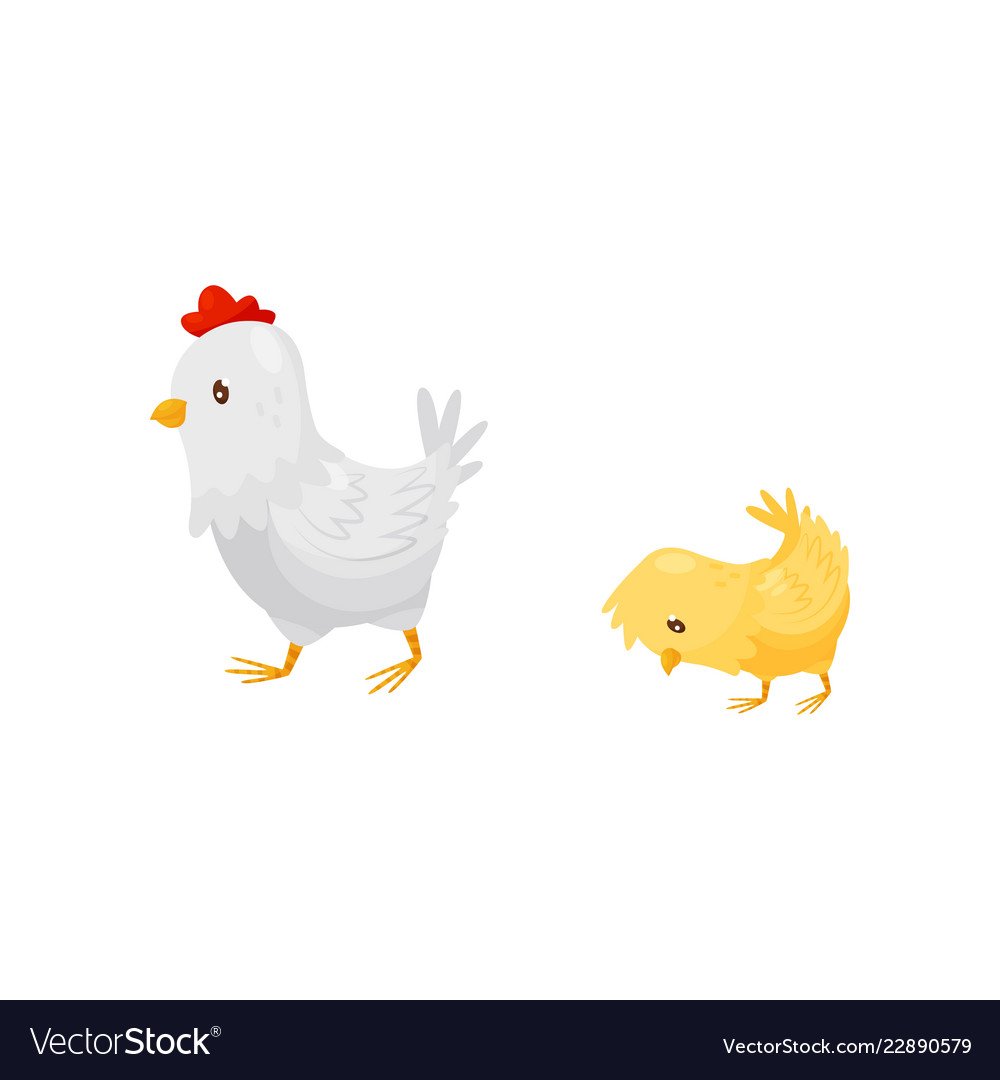 Курица белая для детей