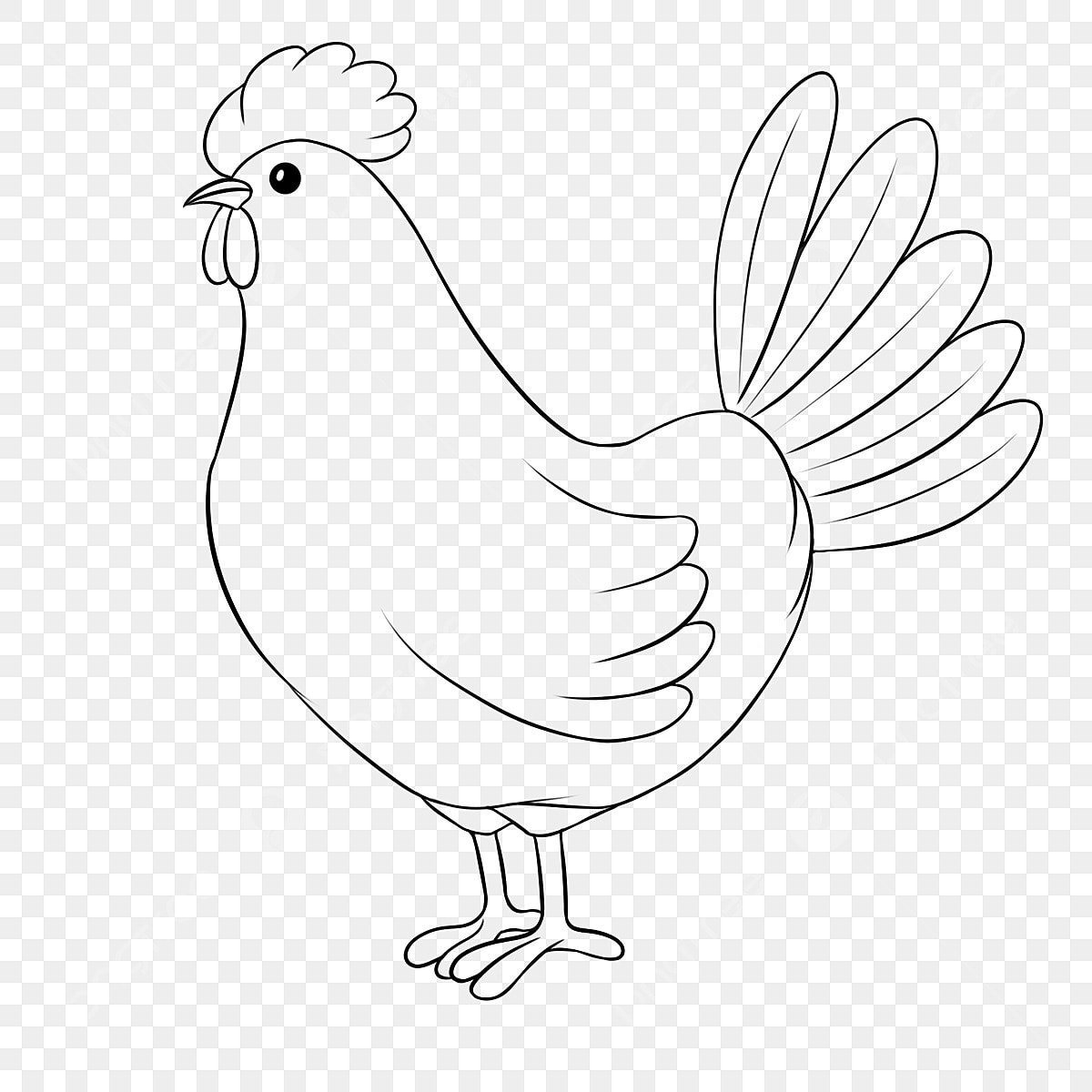 Курица на белом фоне мультяшный