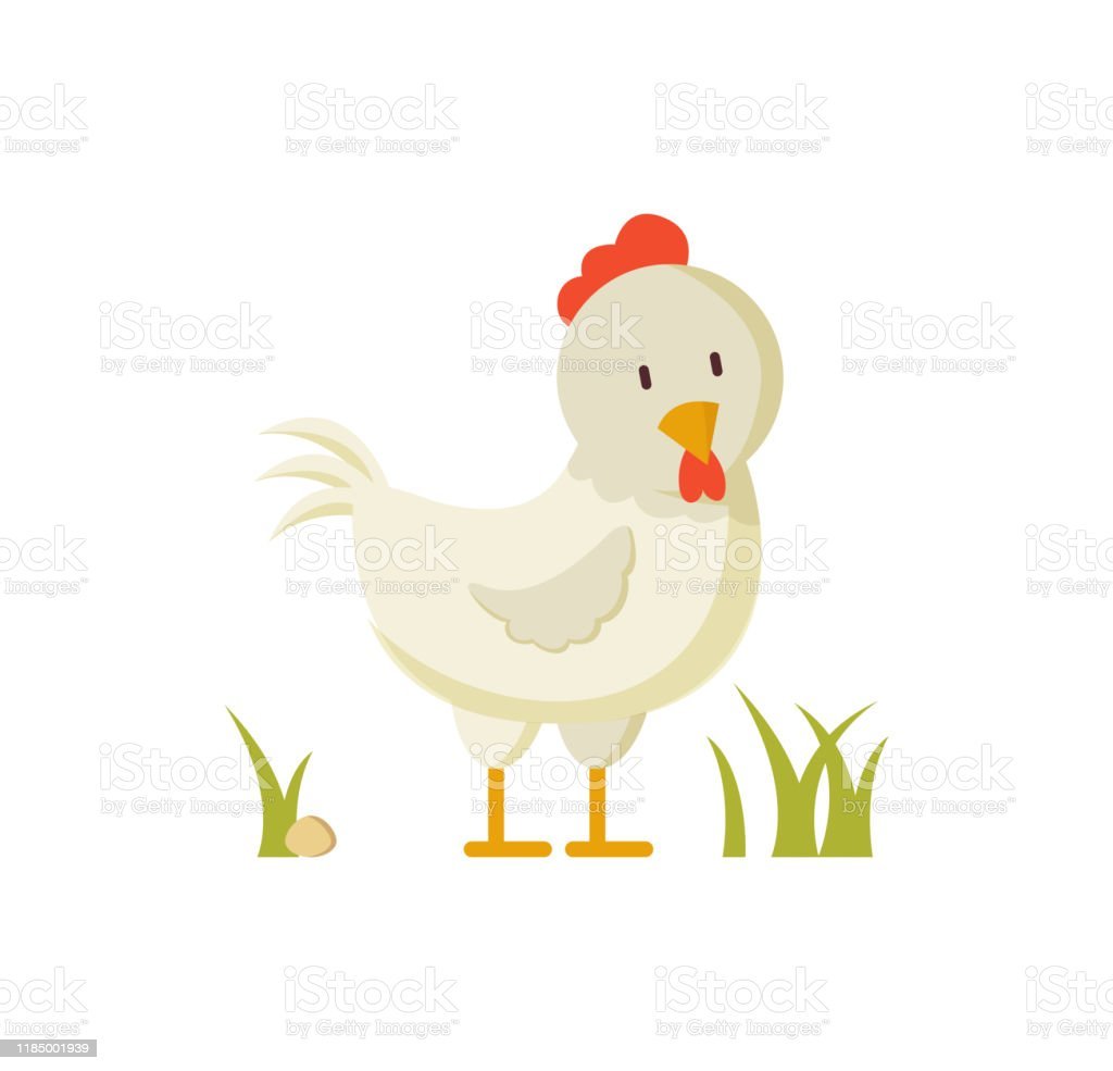 Курица рисунок