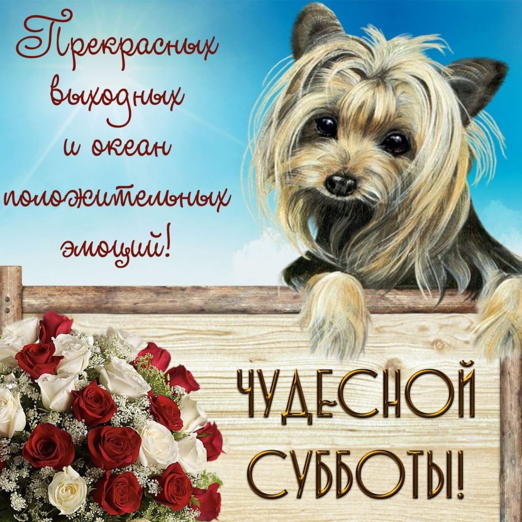 Хорошего субботнего дня и отличного настроения