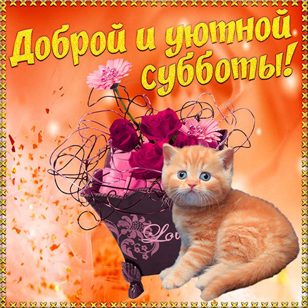 Стикеры с добрым утром