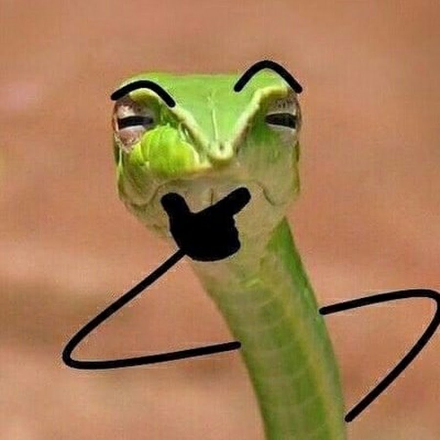 Мемы со змеями