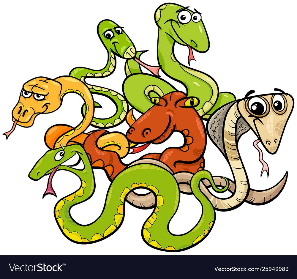 Клубок змей женский коллектив