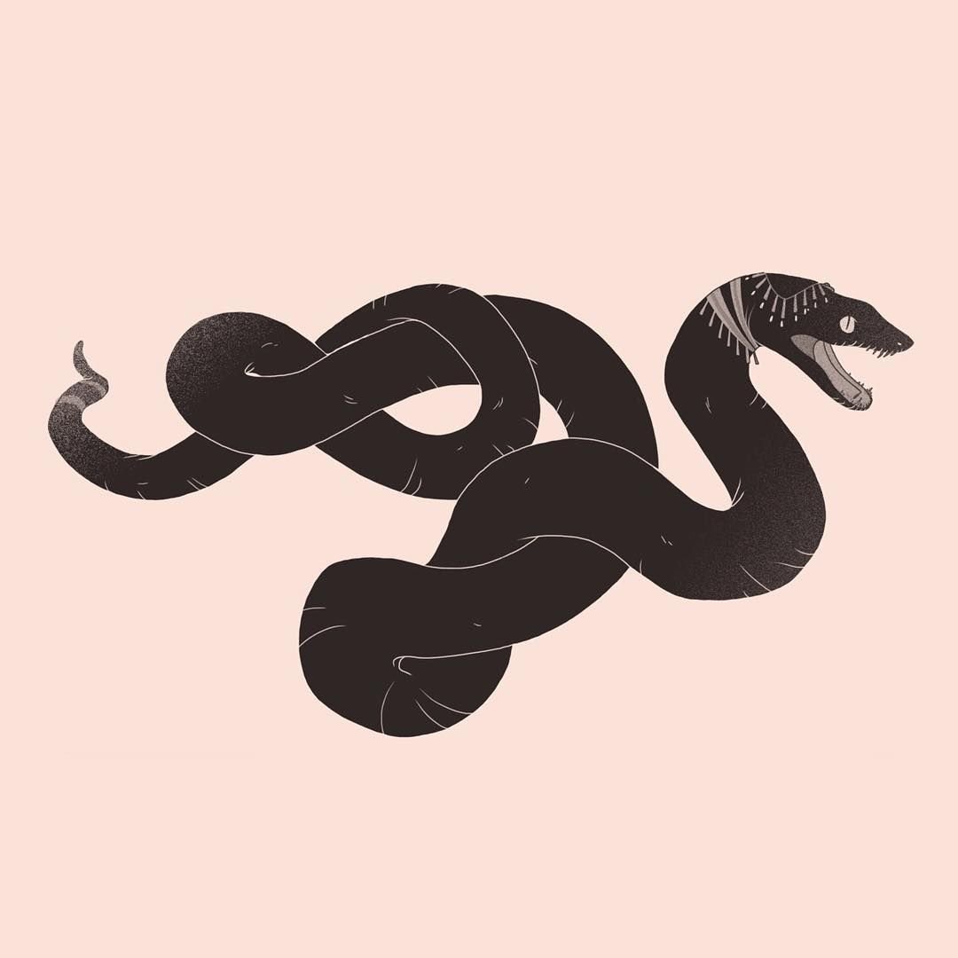 Змеи Эстетика Минимализм