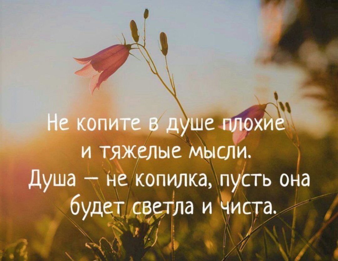 Высказывания с добрым утром