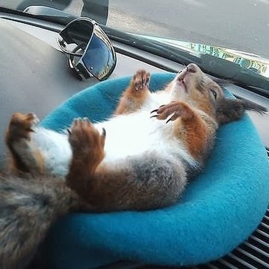 Кружка кофе для бодрости с надписью