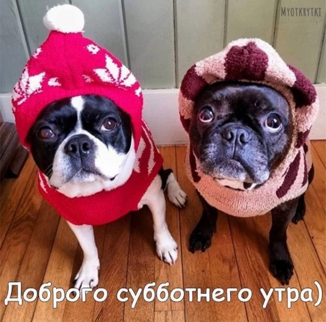 Доброе утро на итальянском хорошего дня