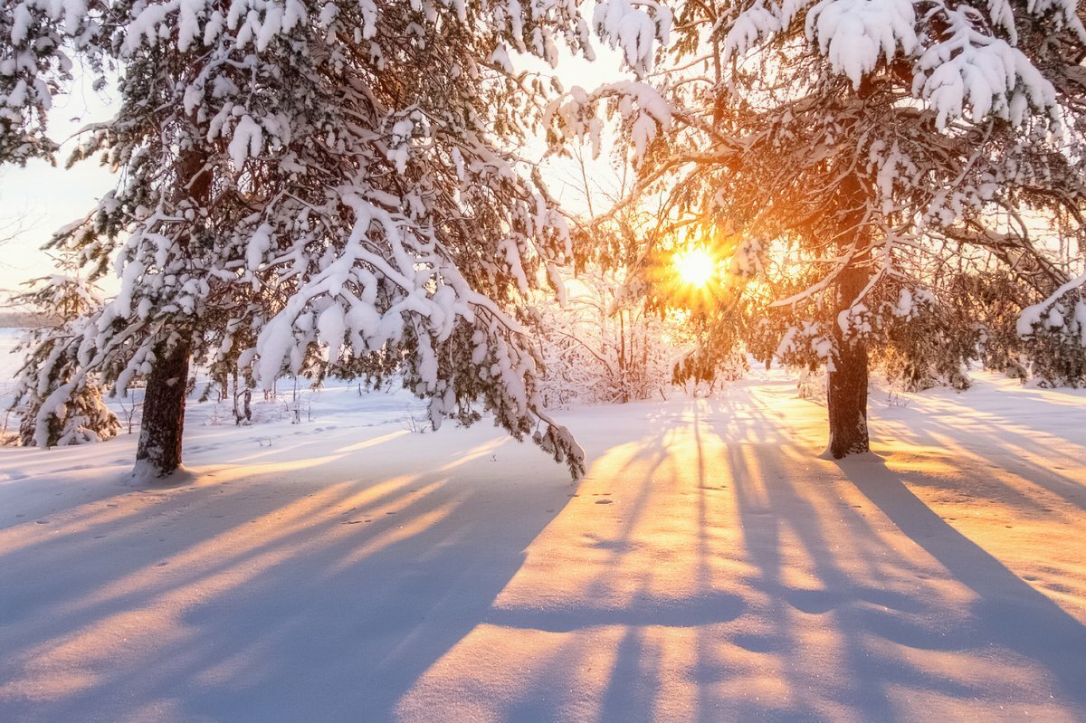 Солнечный день зимой