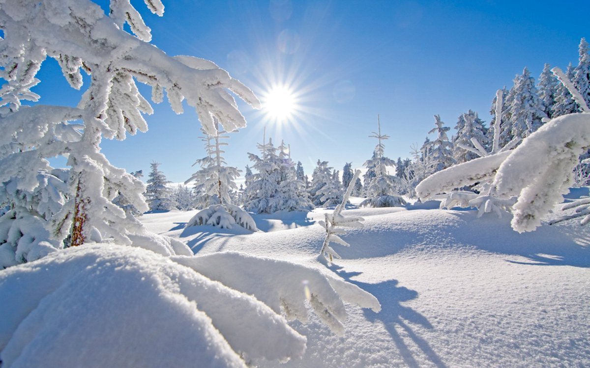 Морозный день