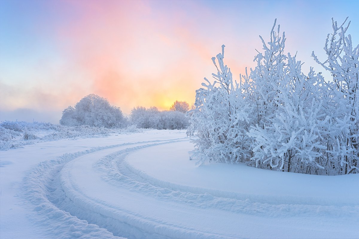 Снежное утро