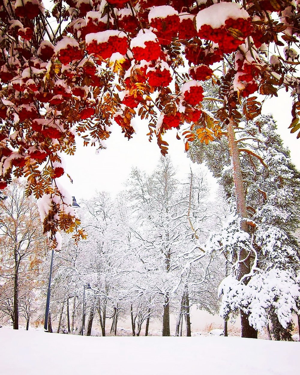 С началом зимы