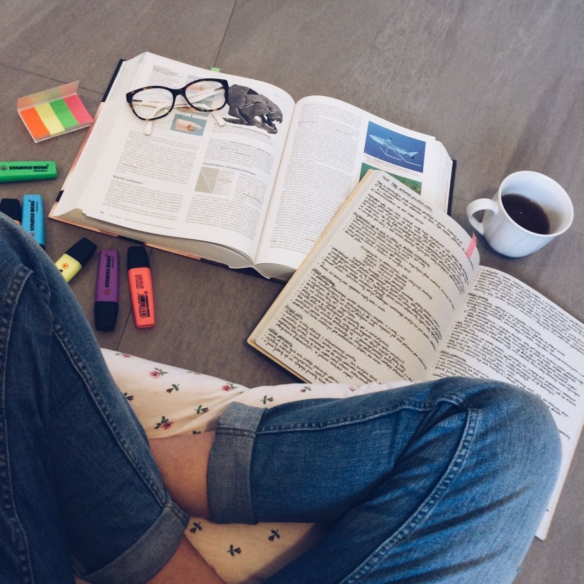 Красивая Эстетика учебы