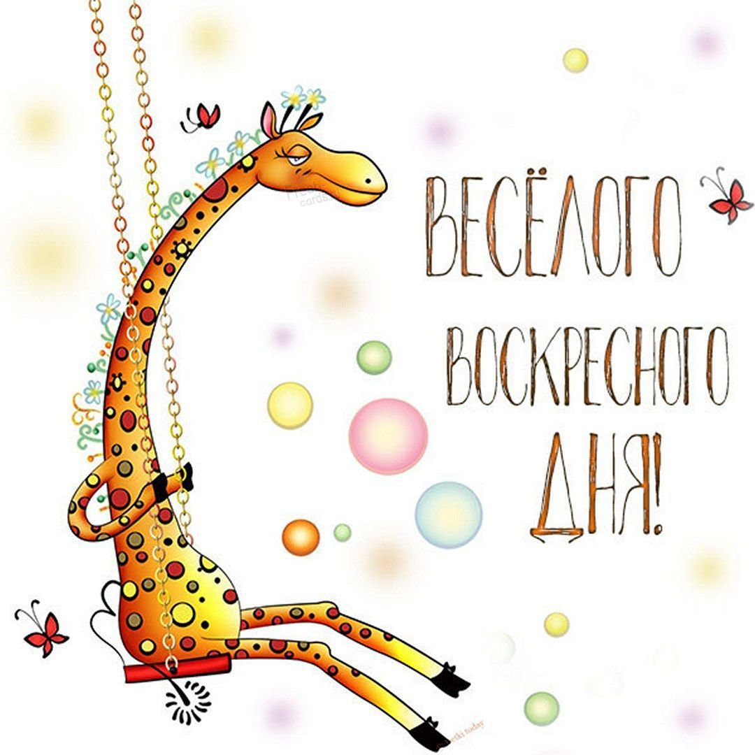 Веселый день