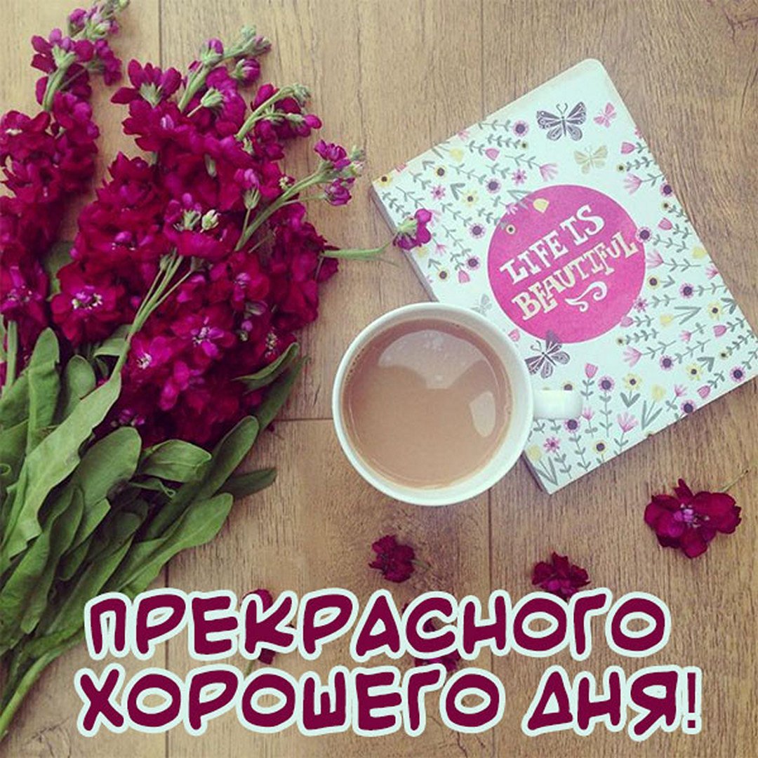 Доброго дня для инстаграма