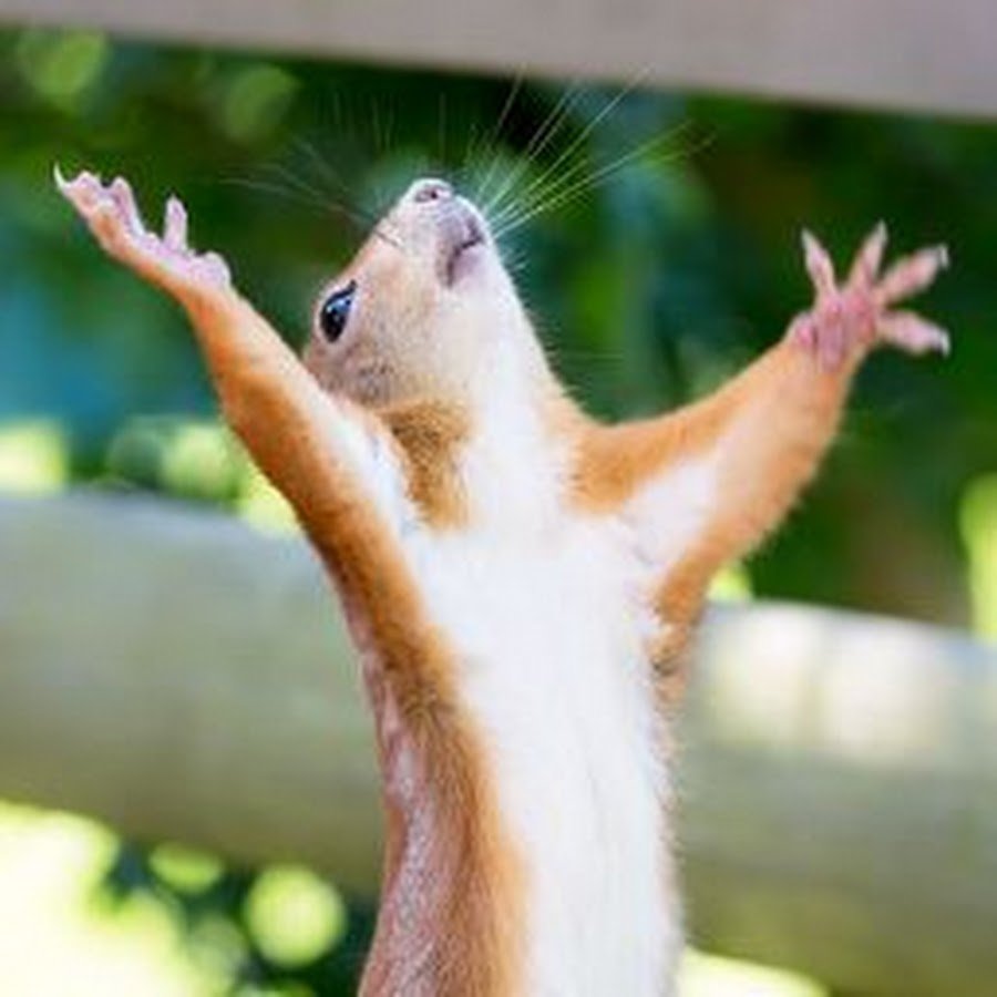 Приколы про море