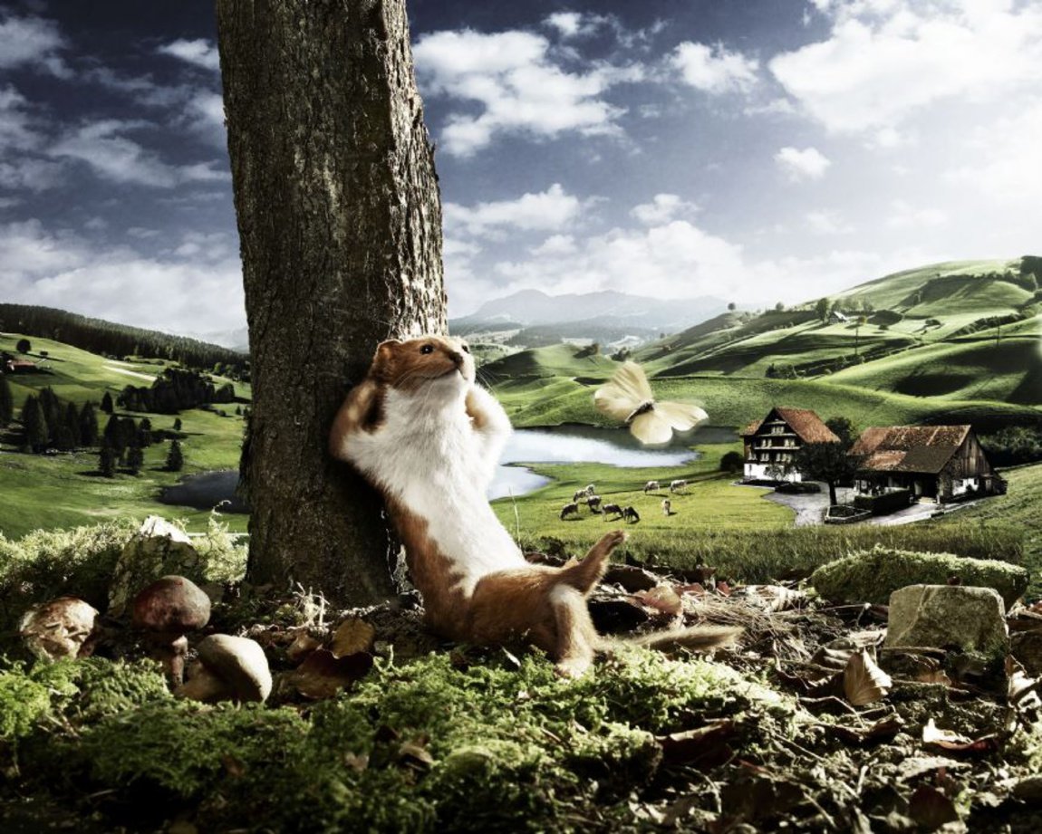 Я В отпуске