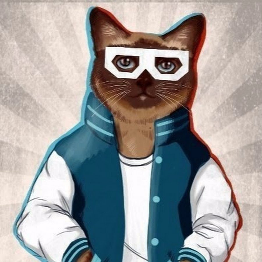 Крутые котята