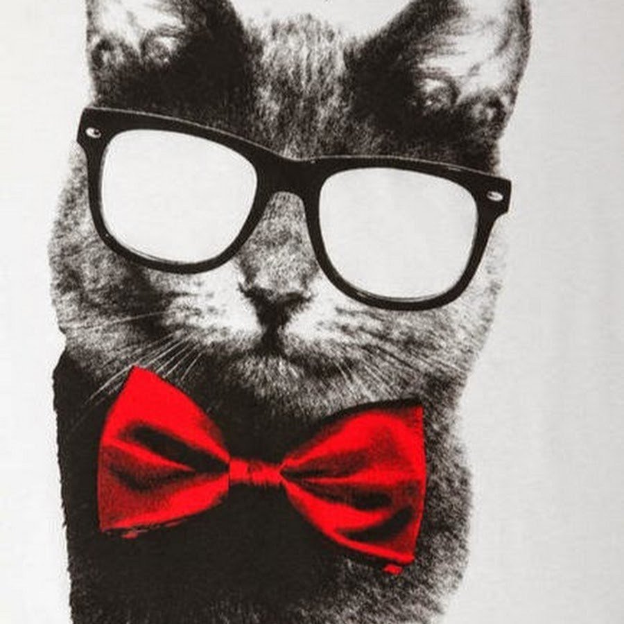 Рыжий кот в очках