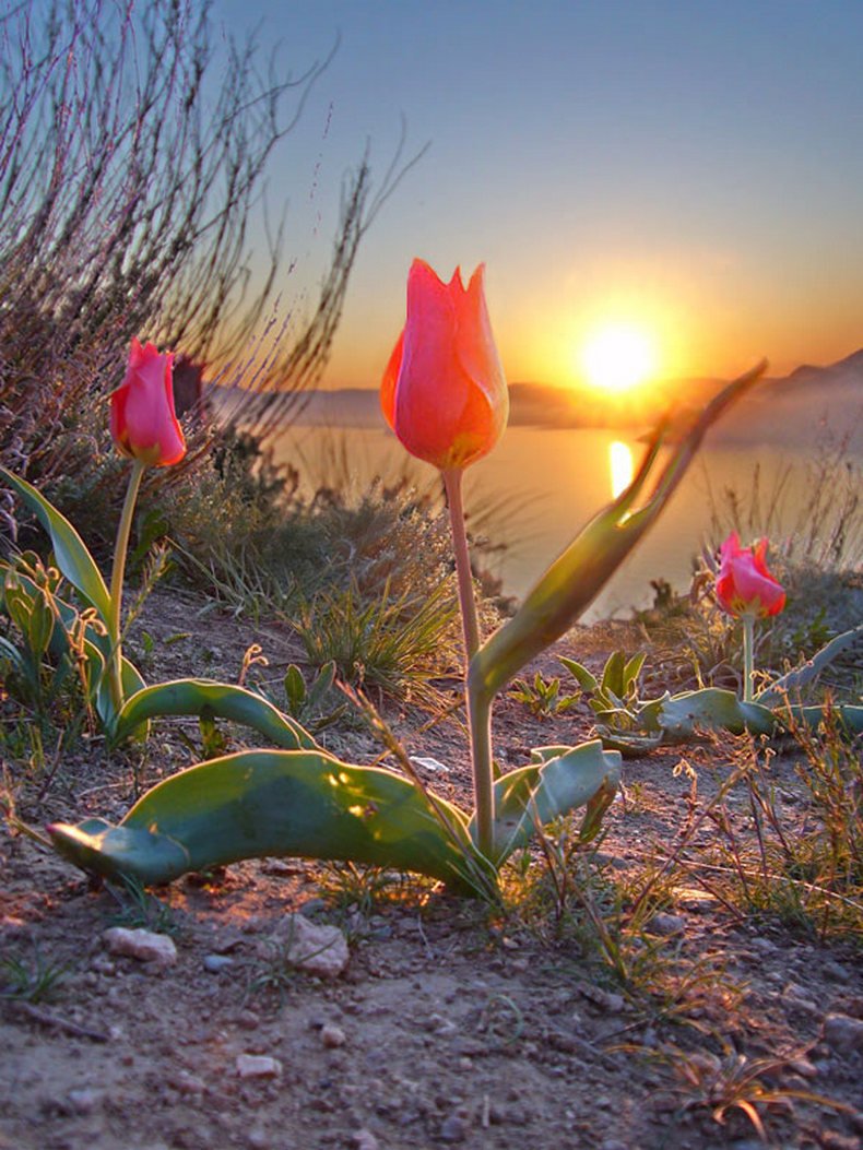 Природа просыпается