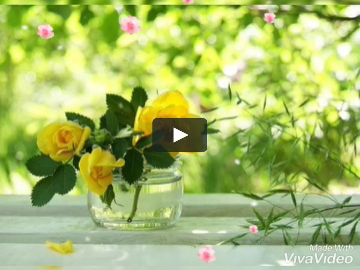 Солнечный цветок