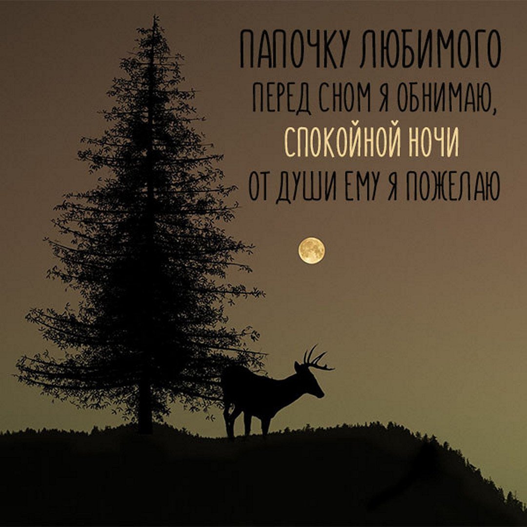 Спокойной ночи папа