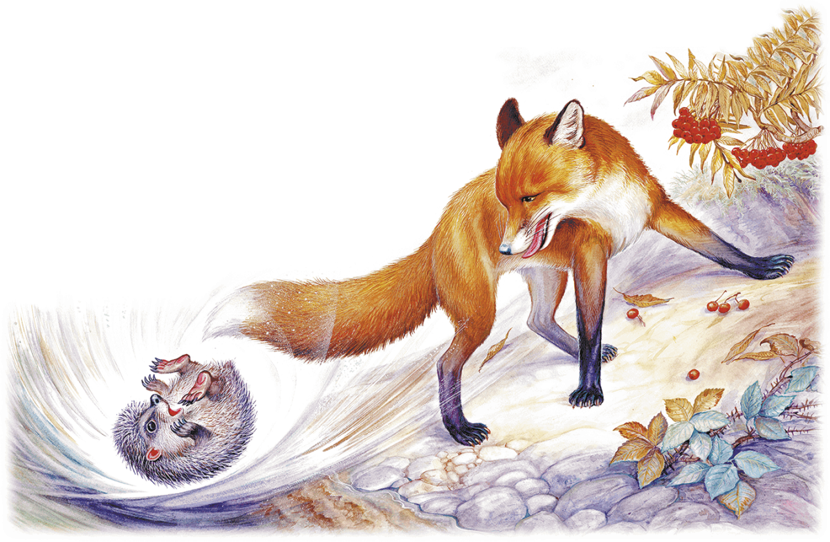 Как Лис ежа перехитрил Виталий Бианки