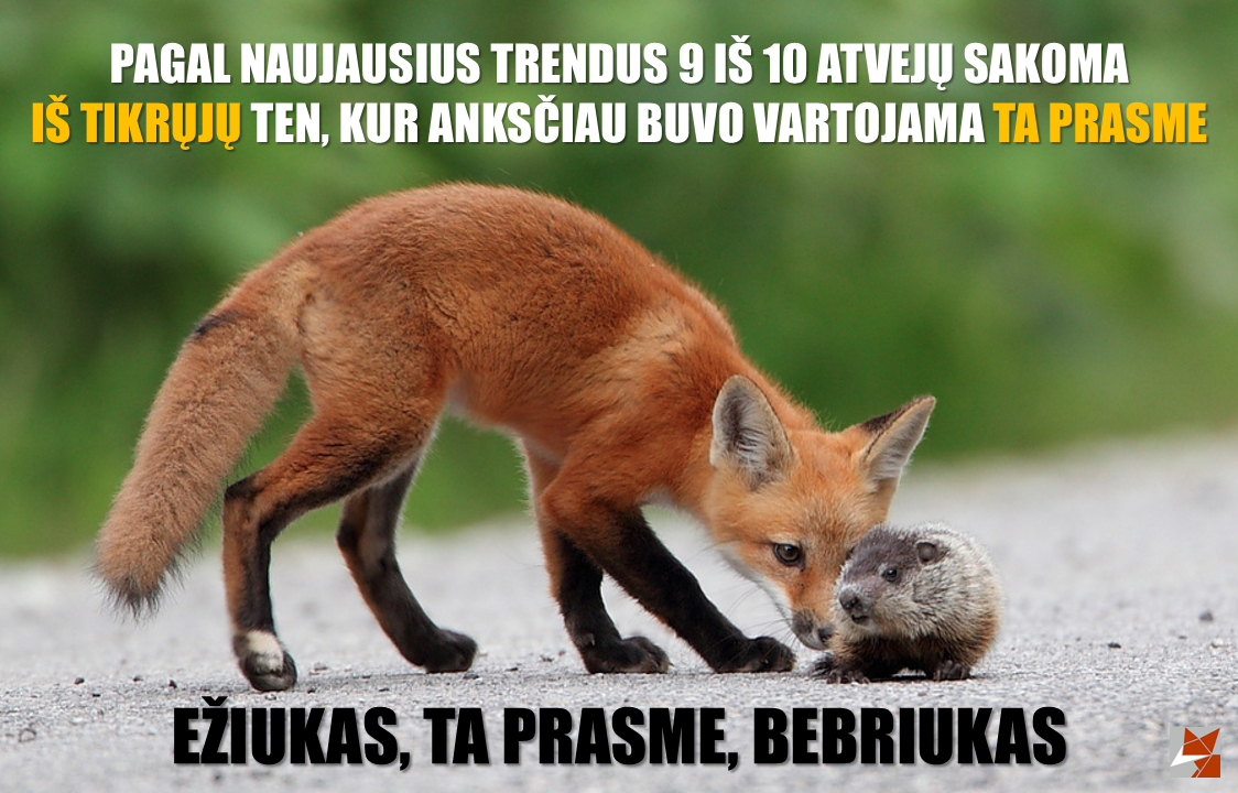 Лисенок иллюстрация