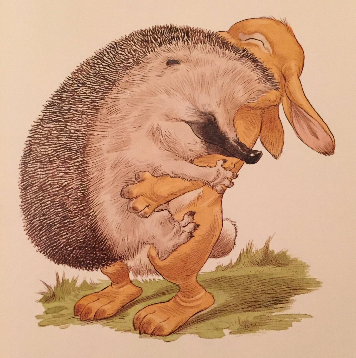 Ежики обнимаются