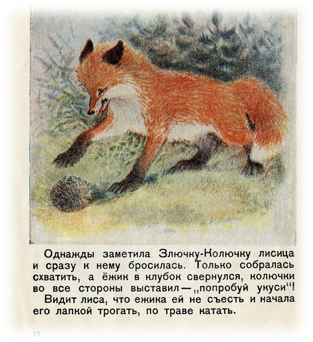 Юлия Щигал иллюстрации