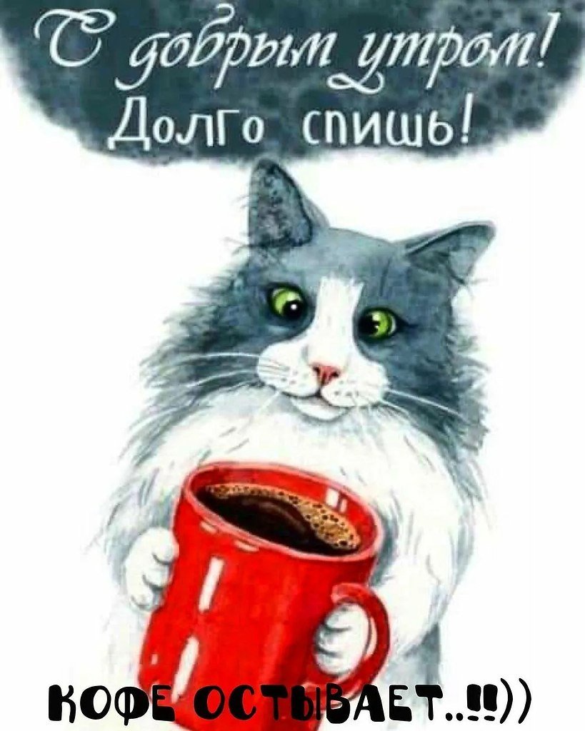 Смешные поздравления с добрым утром