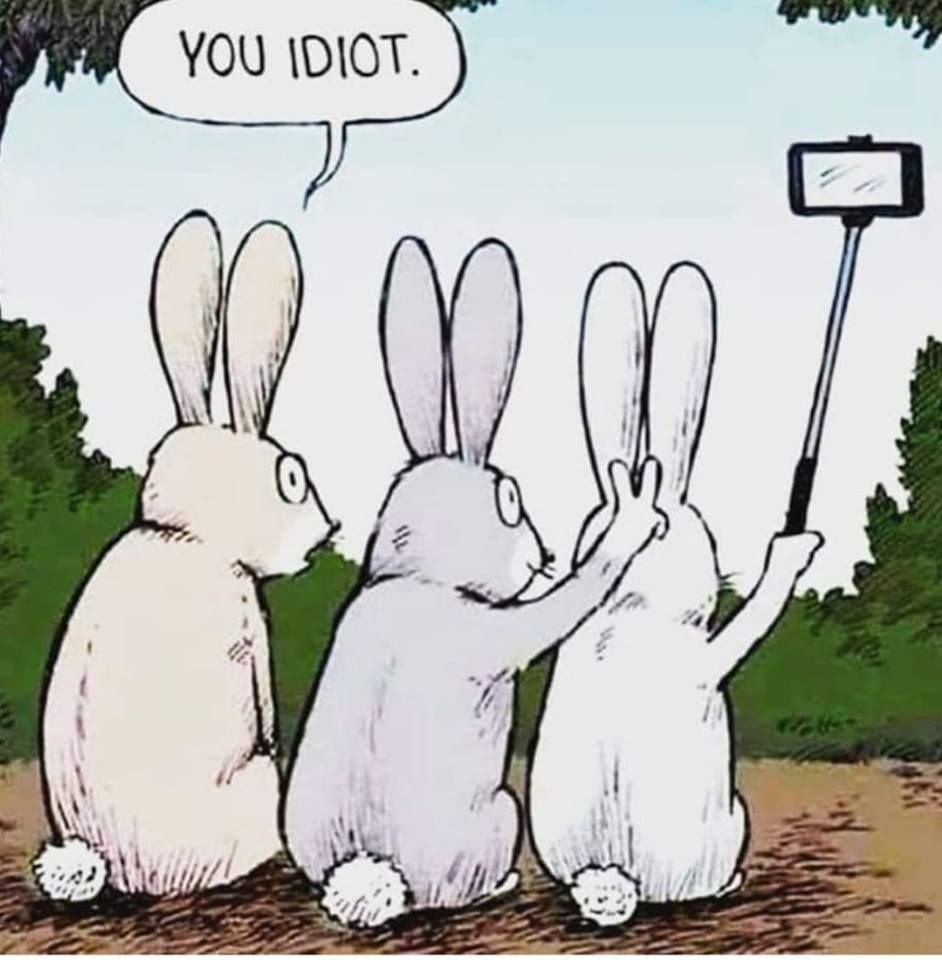 Приколы про правильное питание