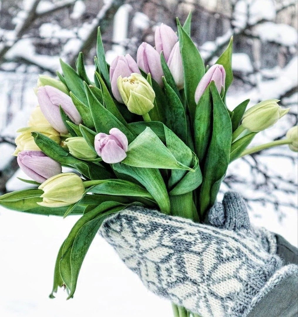 Хочется весны и тепла