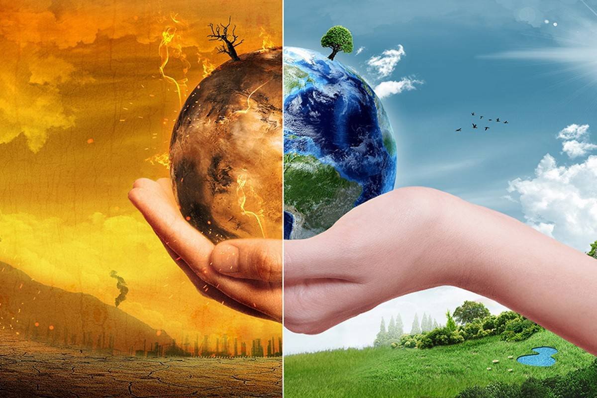 Демография это в экологии