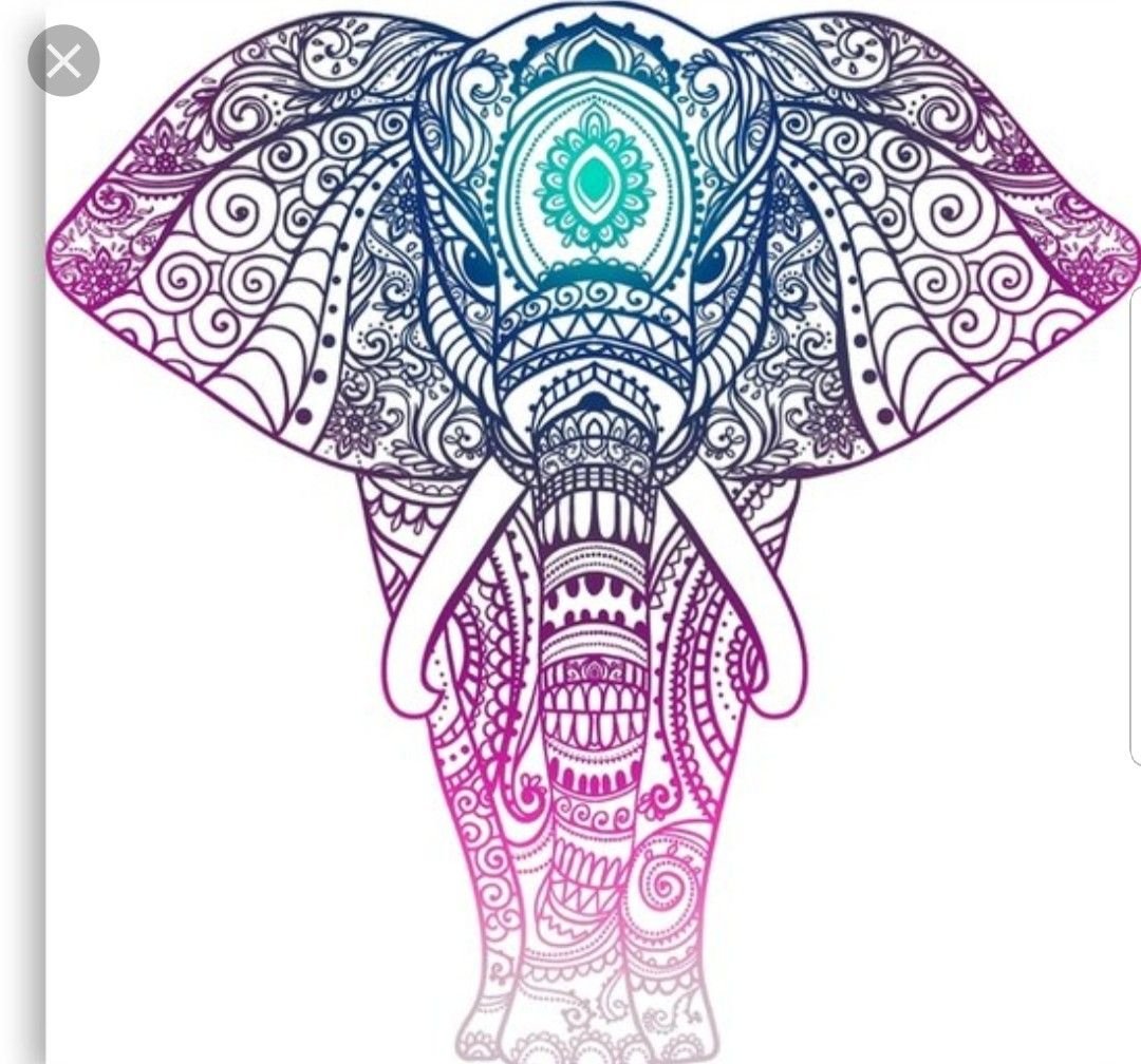 Слон Мандала Индия