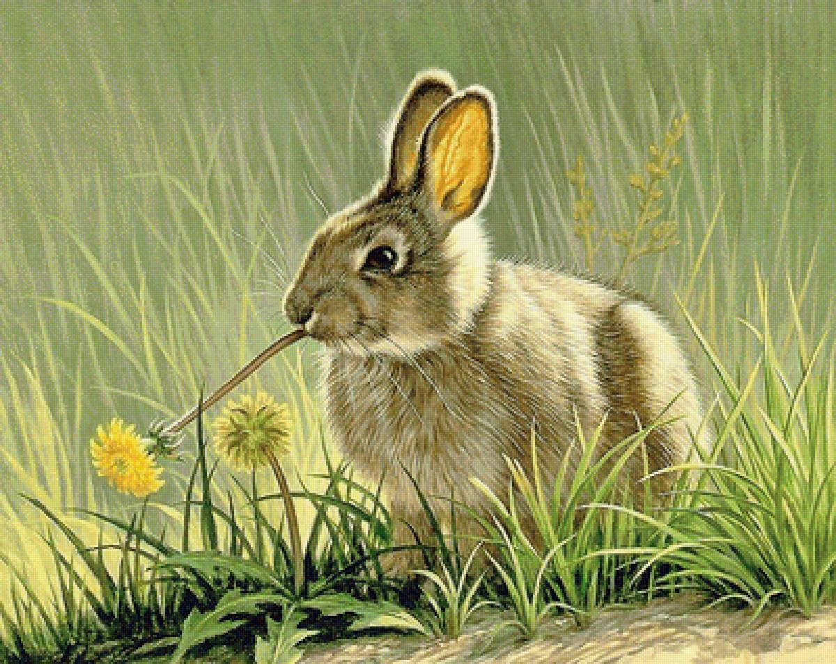 Заяц Русак с зайчатами живопись анималистов