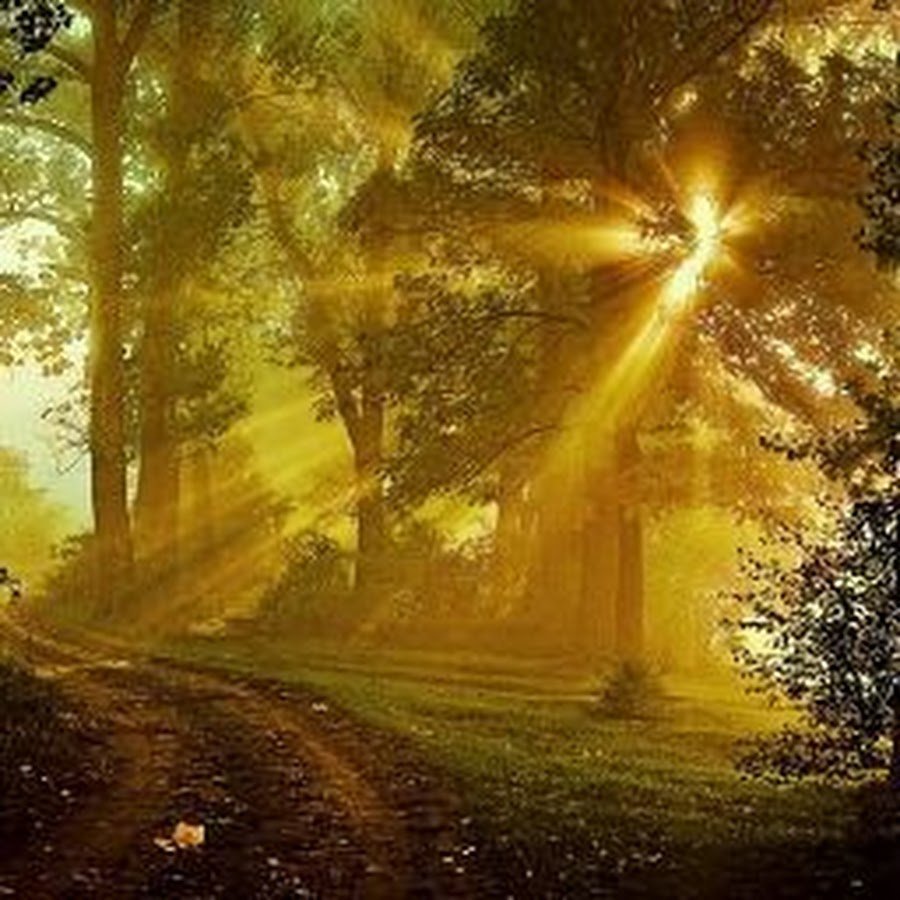 Пейзаж лучи солнца