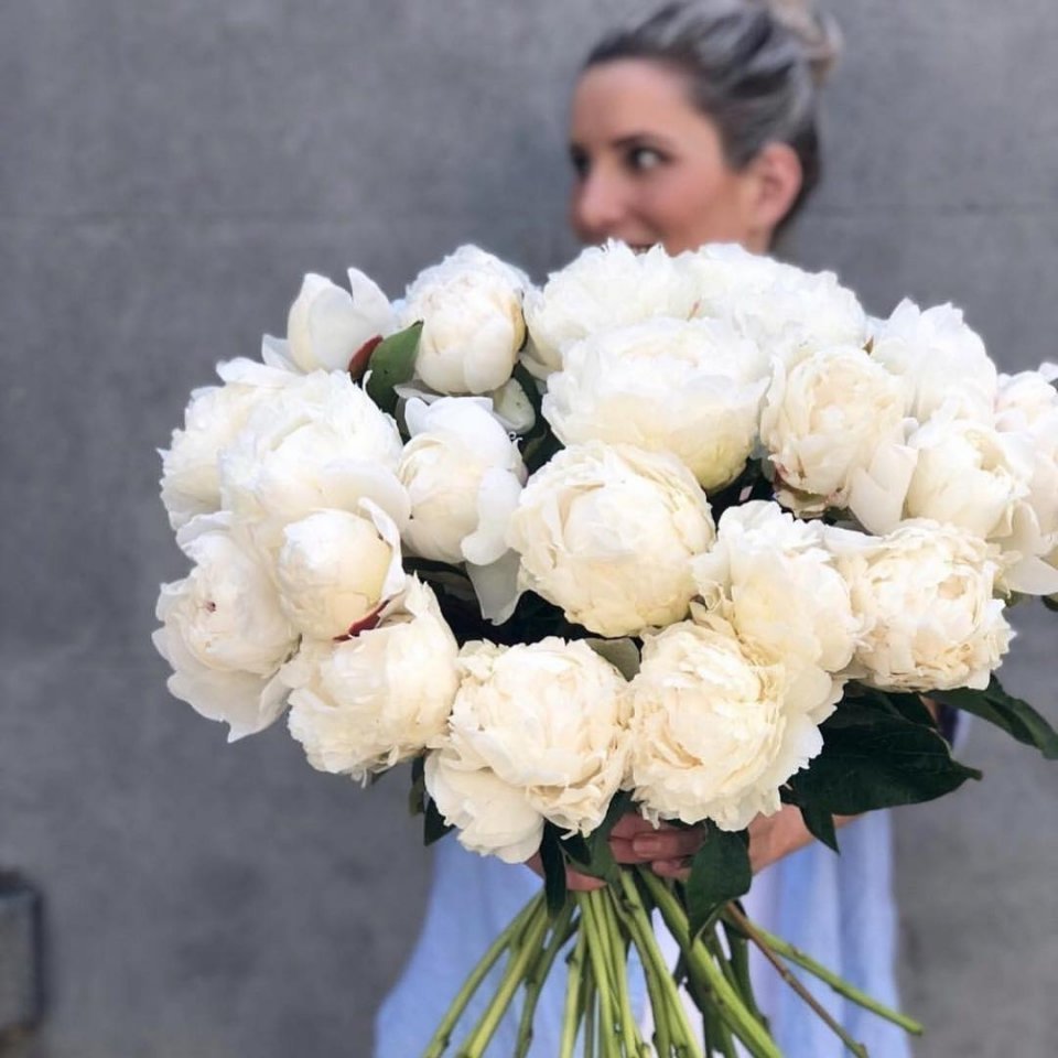 Пионы цвета айвори