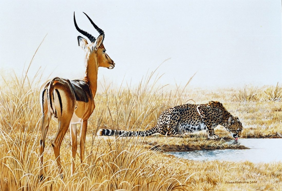 Животные Африки вектор для детей