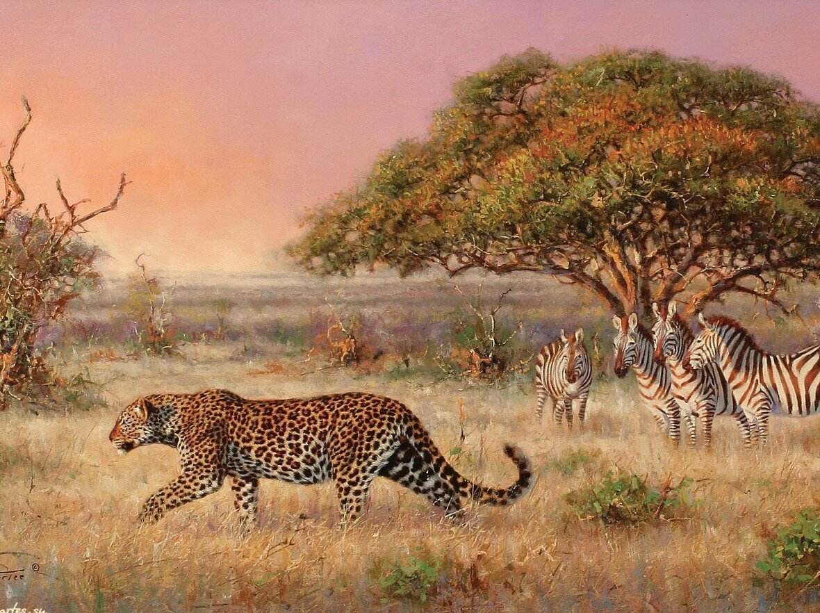 Саванна Африка Африка животные