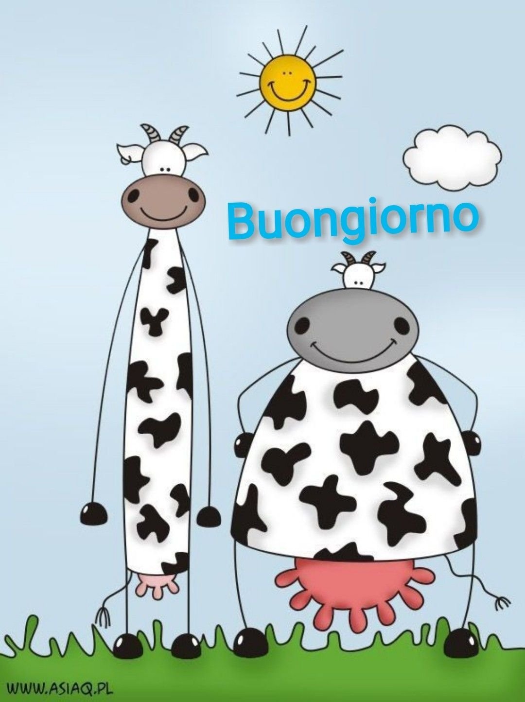 Reginast777 бычок