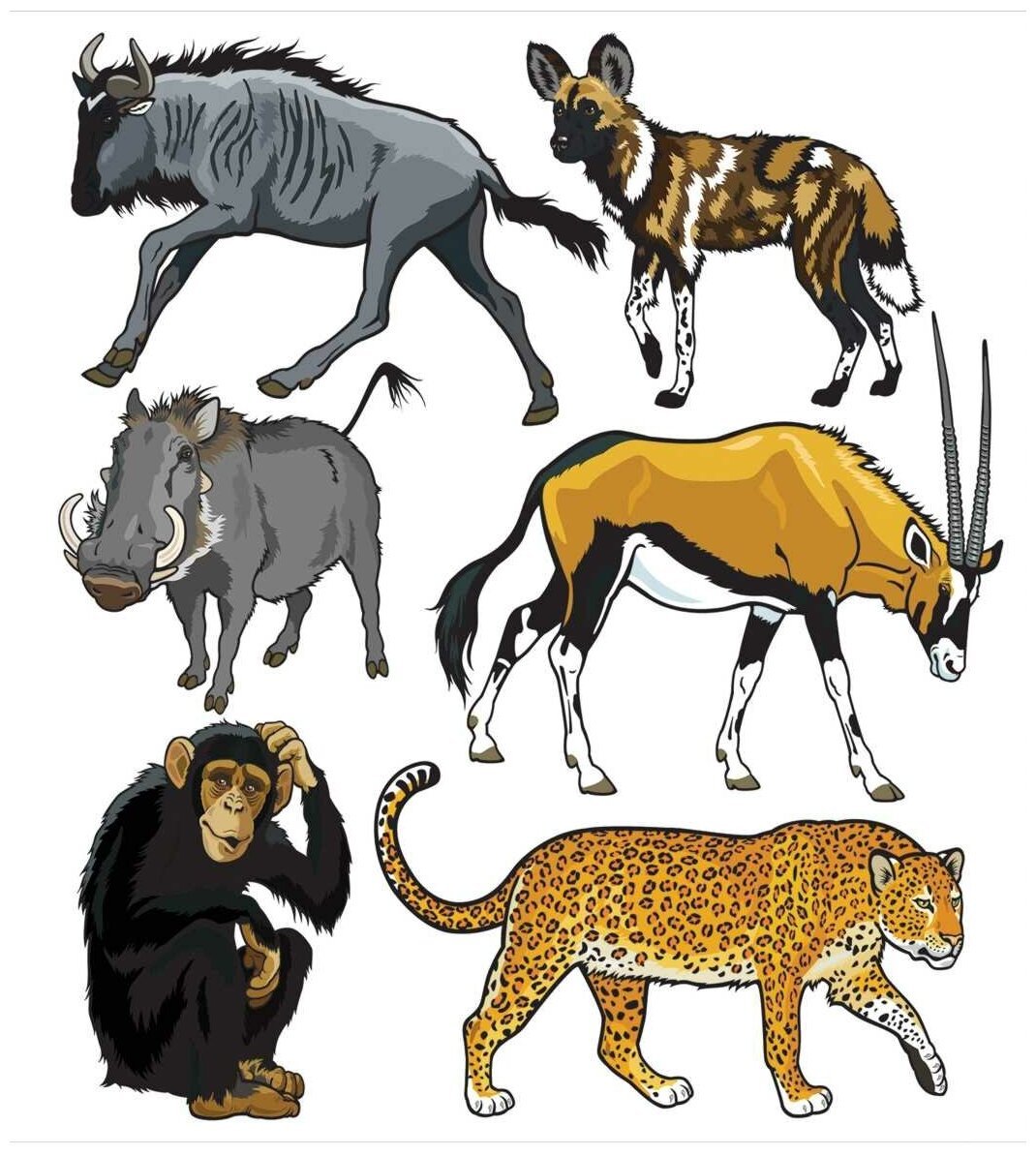 Дикие животные африки картинки