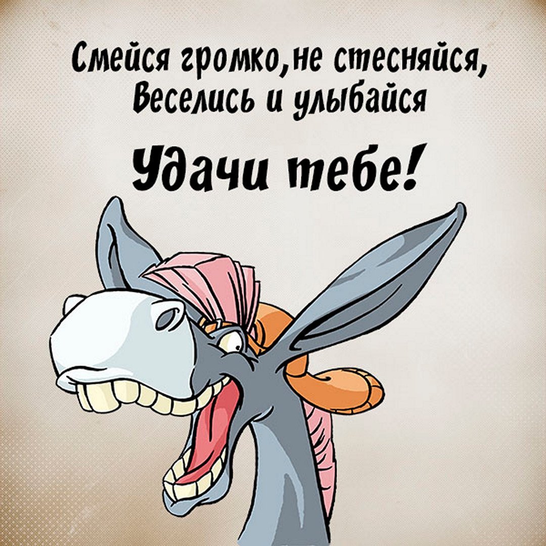 Открытки со словом здрасте прикольные и смешные