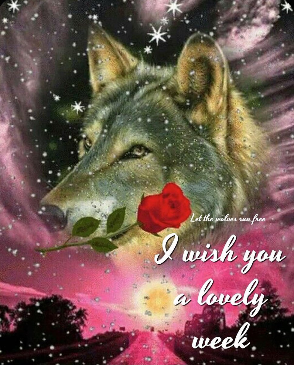 Спокойной ночи от волка